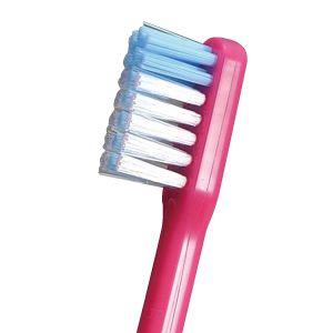 歯ブラシ Ci PRO PLUS Mふつう 50本入り