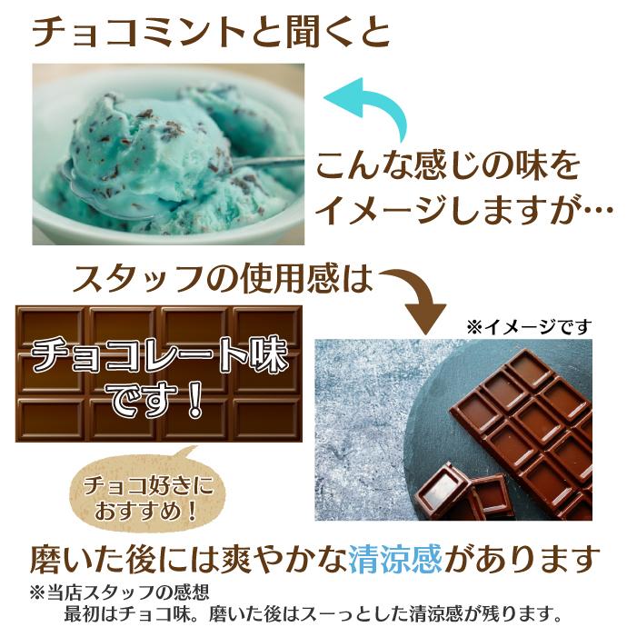 Ciメディカル 歯磨き粉 子供 プチリカル チョコミント 30g (メール便15