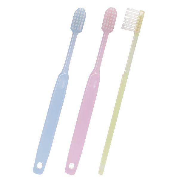 ヴィンテージ／歯科模型】リアル歯列標本 レジン封入・希少