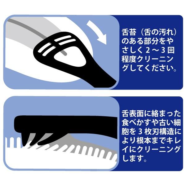 舌クリーナー ゼクリン レギュラータイプ 4本セット(メール便5点まで)|d-fit|05