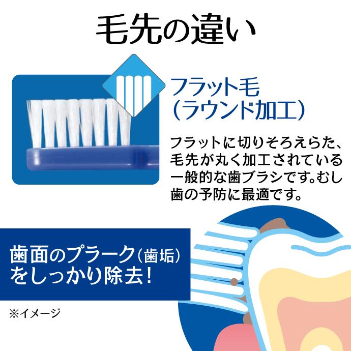 歯ブラシ 毛の種類が選べる リセラ スクエア オールテーパー(超先細)/ラウンド毛(フラット) 20本セット Mふつう  (メール便2点まで)｜d-fit｜08