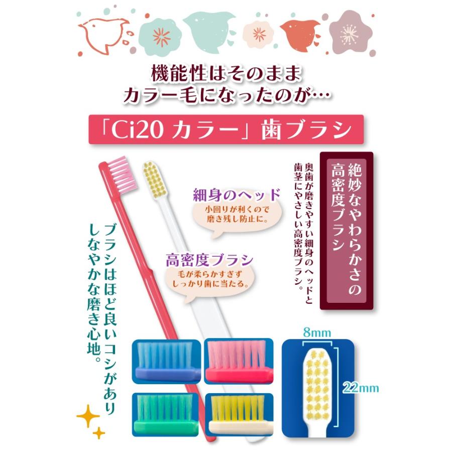 Ciメディカル Ci20カラー(MSやややわらかめ)20本セット【Ciメディカル