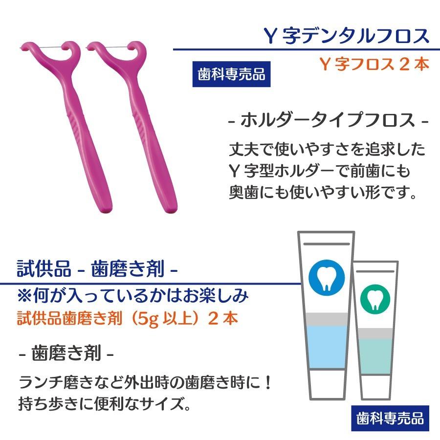 ホワイトニング デンタルフィットDEホワイトニング福袋 歯磨き粉
