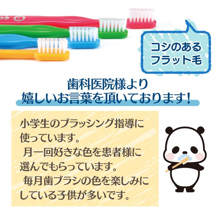 子供用歯ブラシ リセラ エコル 幼児〜小学生用歯ブラシ Mふつう 1本 お