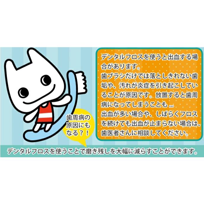 Oral Care オーラルケア フロアフロス Saving（セイビング） 20m