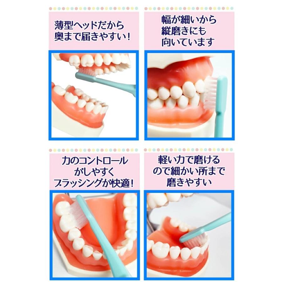 歯ブラシ Hisense ハイセンス 20本セット ラウンド毛 5色アソート コンパクトヘッド 日本製 メール便2点まで セール対象 :DF1906:歯科医院専売品のデンタルフィット - 通販 - Yahoo!ショッピング 歯ブラシ Hisense ハイセンス 20本セット ラウンド毛 5色アソート コンパクトヘッド 日本製 メール便2点まで セール対象 :DF1906:歯科医院専売品のデンタルフィット - 通販 - Yahoo!ショッピング