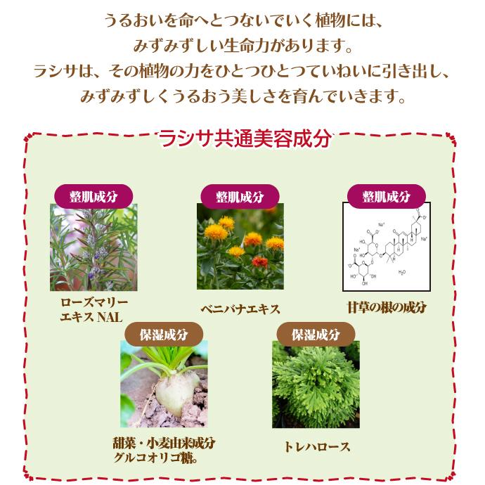 NAGASE Cleansing Cream 4個セット 通常購入】クレンジングクリーム | ナガセビューティケァ公式