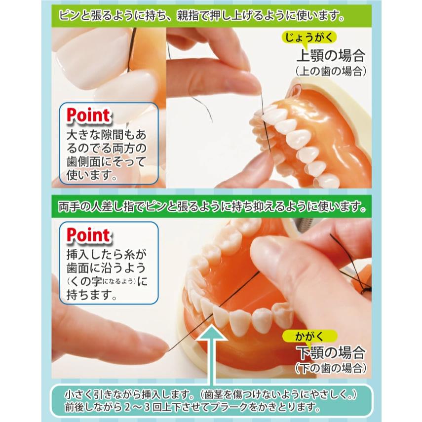 fluorfloss オーラルケア フロアフロス 250m 詰め替え用 (3個) : 歯科