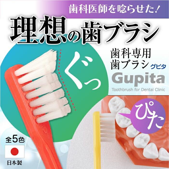 歯科専用 歯ブラシ Gupita グピタ (毛のかたさ：Mふつう) 10本セット (メール便4点まで) 復興支援商品｜d-fit｜02