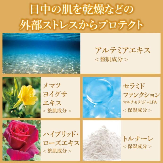 ナガセ デイプロテクトクリーム / 1個(30g) 日中用クリーム 保湿 デイ