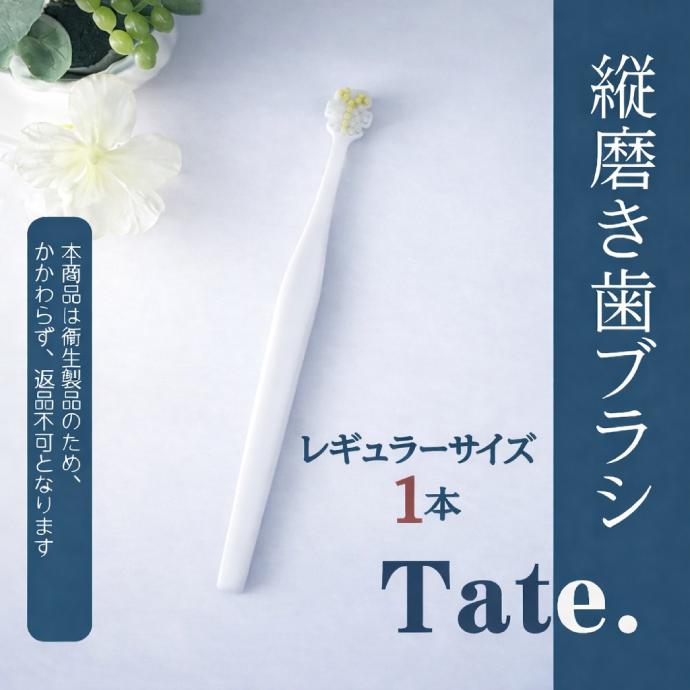 縦磨き歯ブラシ Tate. レギュラーサイズ(V5) 1本【歯科衛生士監修 タテ