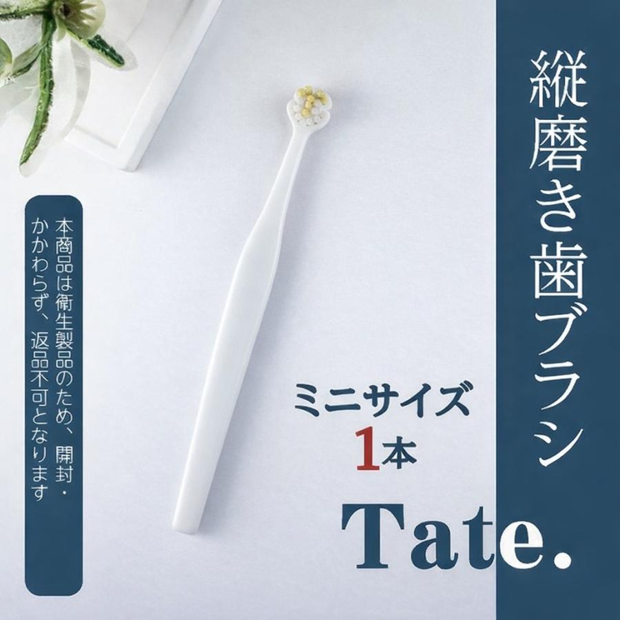 縦磨き歯ブラシ Tate. ミニサイズ(V3) 1本【歯科衛生士監修 タテ磨き