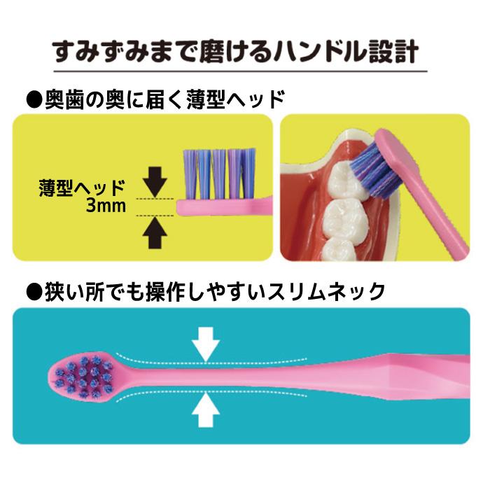 PROGRIP 歯ブラシ エビス プログリップ NUMA 鬼プチ 12本セット