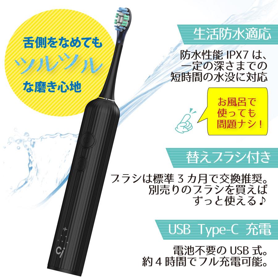 WaterSonic 音波振動歯ブラシ ブラック　セット WaterSonic 音波振動歯ブラシ ブラック セット 【公式通販】