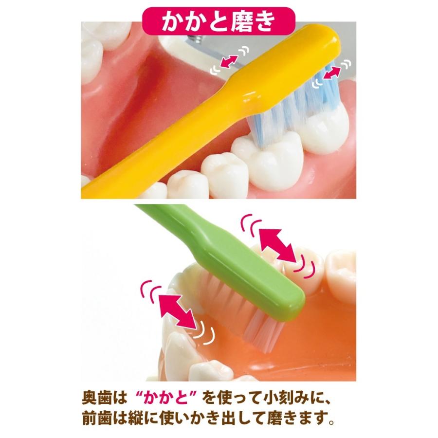 Ciメディカル 歯ブラシ Ci PRO PLUS / M(ふつう) S(やわらかめ) 20本