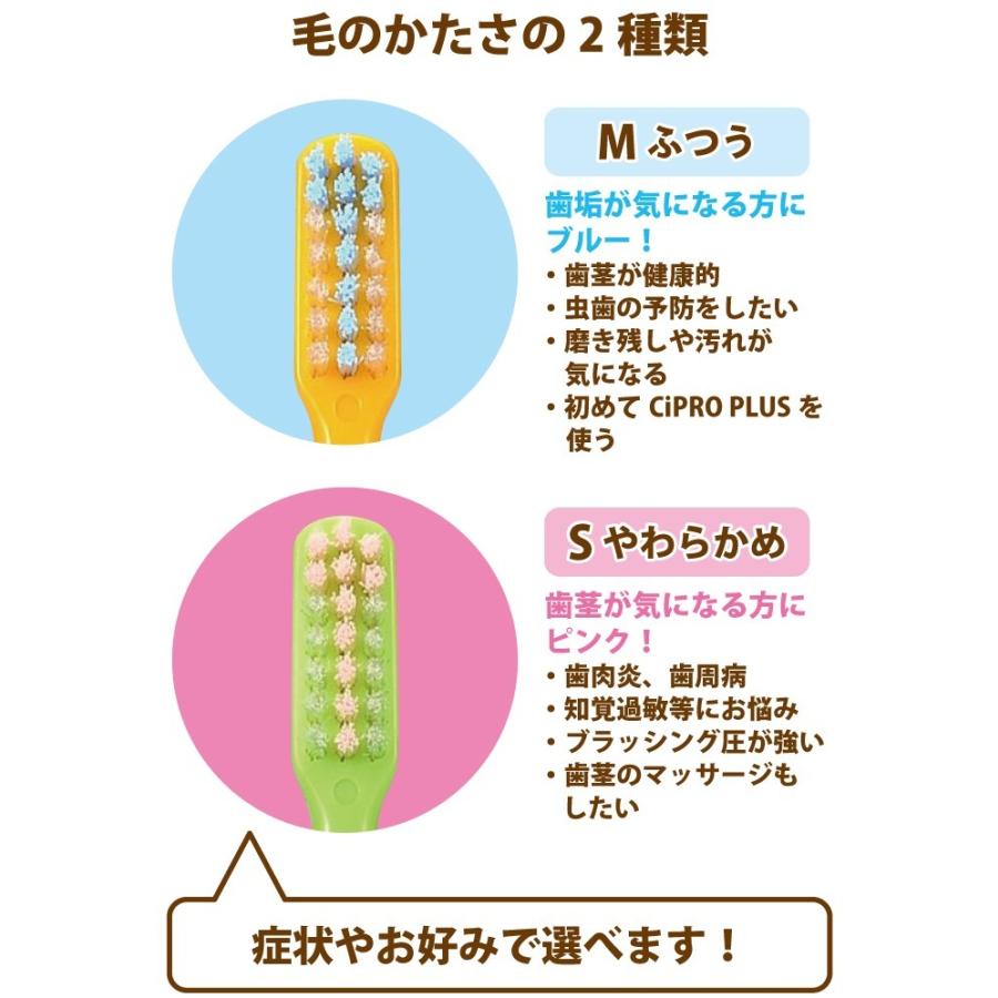 歯ブラシ Ci PRO PLUS / M(ふつう) S(やわらかめ) 20本セット W植毛 (メール便2点まで) セール対象 :Q0:歯科医院専売品のデンタルフィット - 通販 - Yahoo!ショッピング 歯ブラシ Ci PRO PLUS / M(ふつう) S(やわらかめ) 20本セット W植毛 (メール便2点まで) セール対象 :Q0:歯科医院専売品のデンタルフィット - 通販 - Yahoo!ショッピング