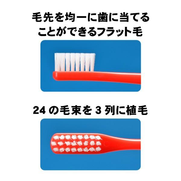 歯ブラシ タフト24 オーラルケア MS(ミディアムソフト) カラーアソート 25本 (メール便1点まで)|d-fit|02
