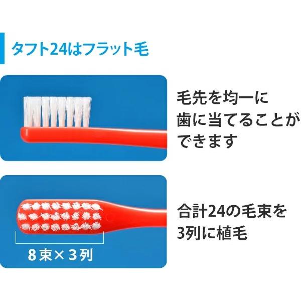 歯ブラシ  タフト24 オーラルケア 硬さが選べる カラーアソート 25本 (メール便2点まで)｜d-fit｜02