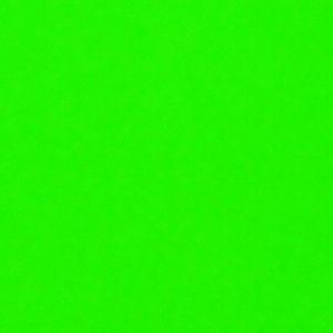 蛍光紙 蛍光グリーン シールタイプ Keikou Gr グリッター ホログラム ショップ 通販 Yahoo ショッピング