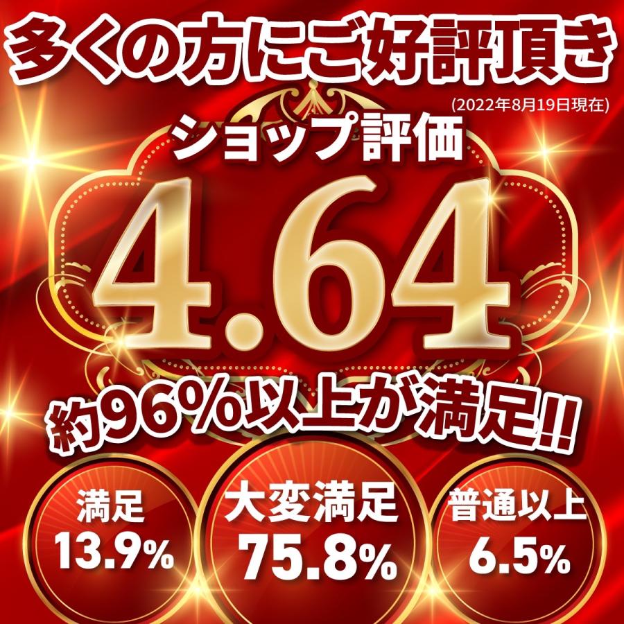ハンガー クリップハンガー 30本 セット スカート ズボン パンツ ステンレス すべらない しわ防止 クリップ|d-ice|18