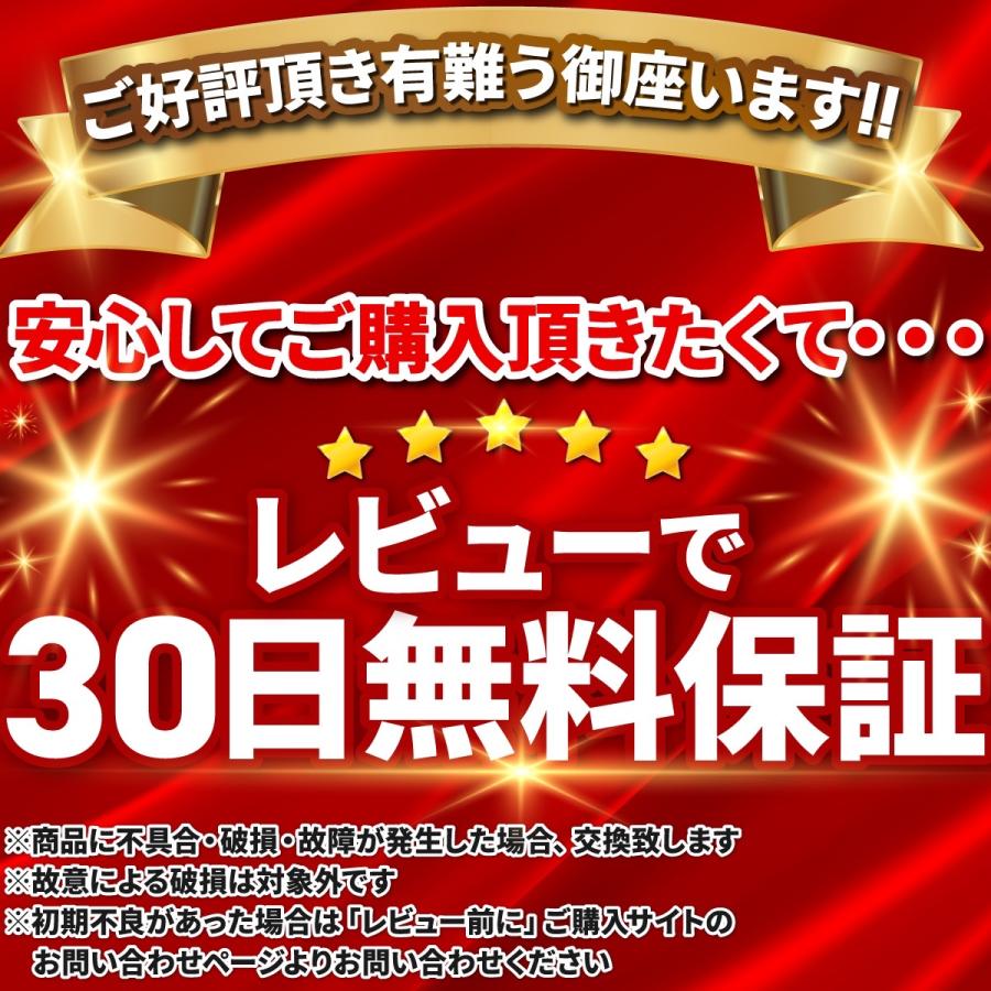 ハンガー クリップハンガー 20本 セット スカート ズボン パンツ スラックス ステンレス すべらない クリップ ピンチ｜d-ice｜20