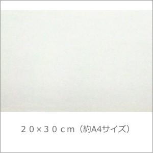 分光シート(光の万華鏡シート)20cm×30cm(約A4サイズ)　　（Yahoo!・ホログラムショップ ダンフォルム）