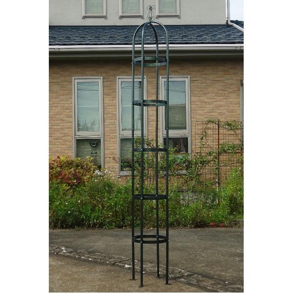 オベリスク エクセレント250H(11915円)