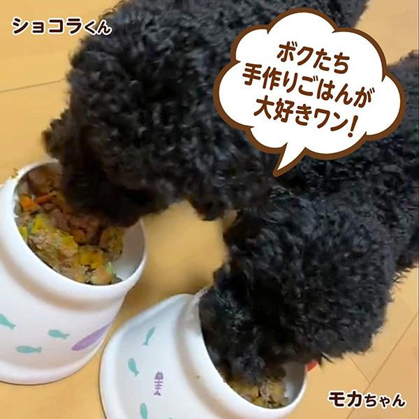 リアルサープラス 淡路アグリファーム 猪肉3kg小分けトレー 国産無添加ドッグフード ウェットフード 手作りごはんトッピング 3 0kgトレー In Pet Rcp C 国産ジビエ 猪肉 犬 健康 長生き 犬用 シニア アレルギー 栄養豊富 返品送料無料