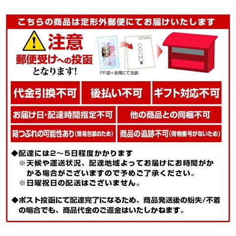 【送料無料】日本製 バリアクリア エアコン 除菌 消臭 殺菌 ウィルス 風邪  インフルエンザ　花粉　花粉症 空気清浄 クーラー 暖房 掃除　エアコン掃除 大掃除 |  | 10