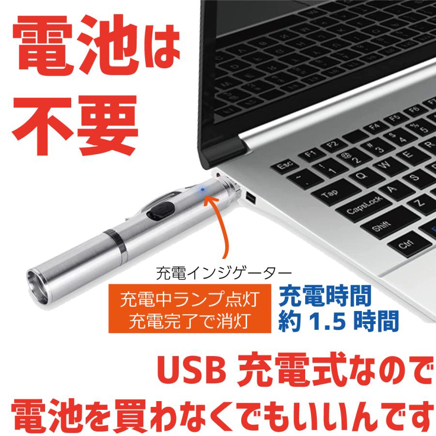 猫じゃらし 猫 おもちゃ LEDポインター ライト ねこじゃらし USB充電 運動不足解消 ねこ キャット ペット用品 肉球 ほね さかな ハート ねずみ | ブランド登録なし | 03