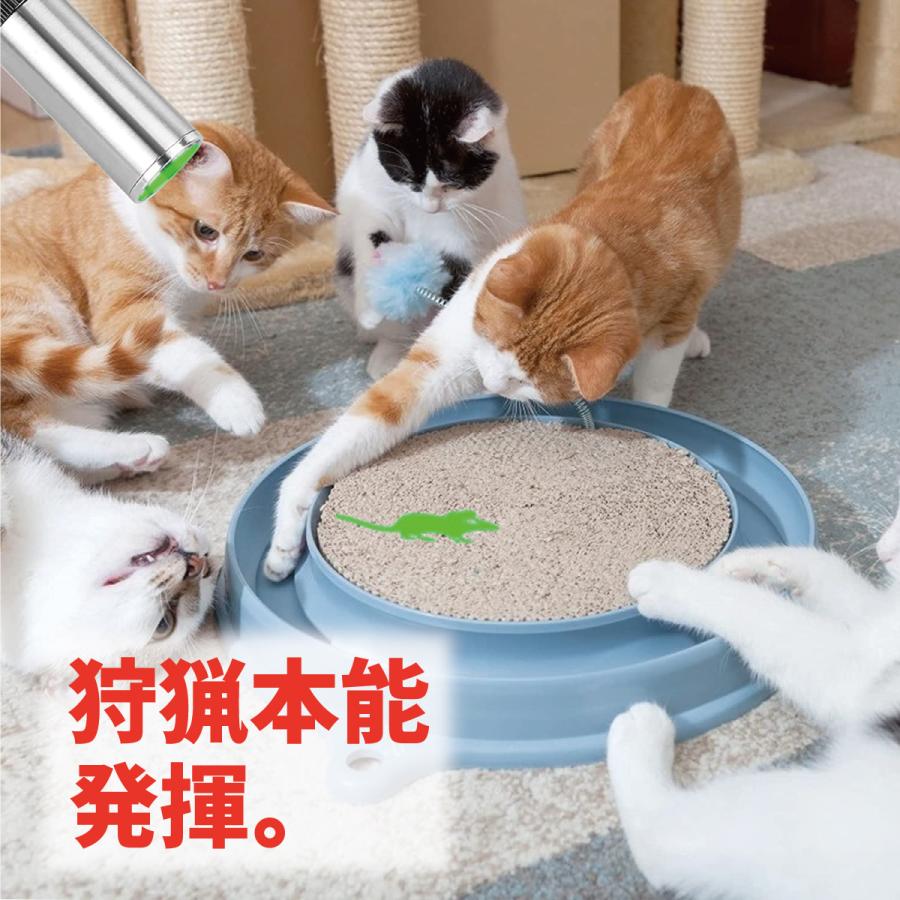 猫じゃらし 猫 おもちゃ LEDポインター ライト ねこじゃらし USB充電 運動不足解消 ねこ キャット ペット用品 肉球 ほね さかな ハート ねずみ | ブランド登録なし | 08
