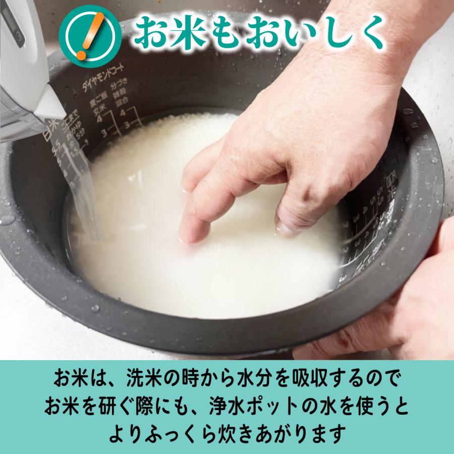 浄水ポット 本体+カートリッジ2箱12個セット 互換品 大容量 全