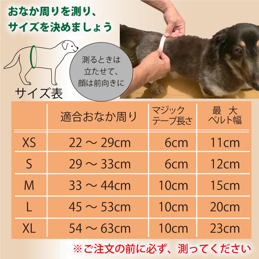 for pets only マナーベルトMサイズ マナーベルト サイズM 犬 オス メッシュ裏地 吸収層付き マナー