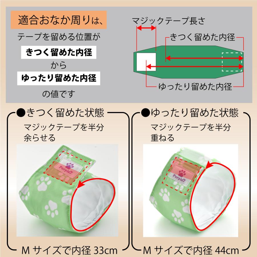 for pets only マナーベルトMサイズ マナーベルト サイズM 犬 オス メッシュ裏地 吸収層付き マナー