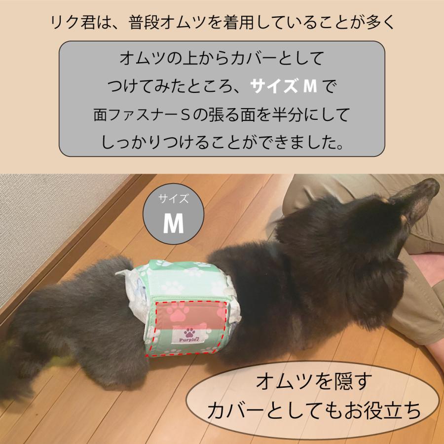 マナーベルト サイズXL 犬 オス メッシュ裏地 吸収層付き マナーバンド