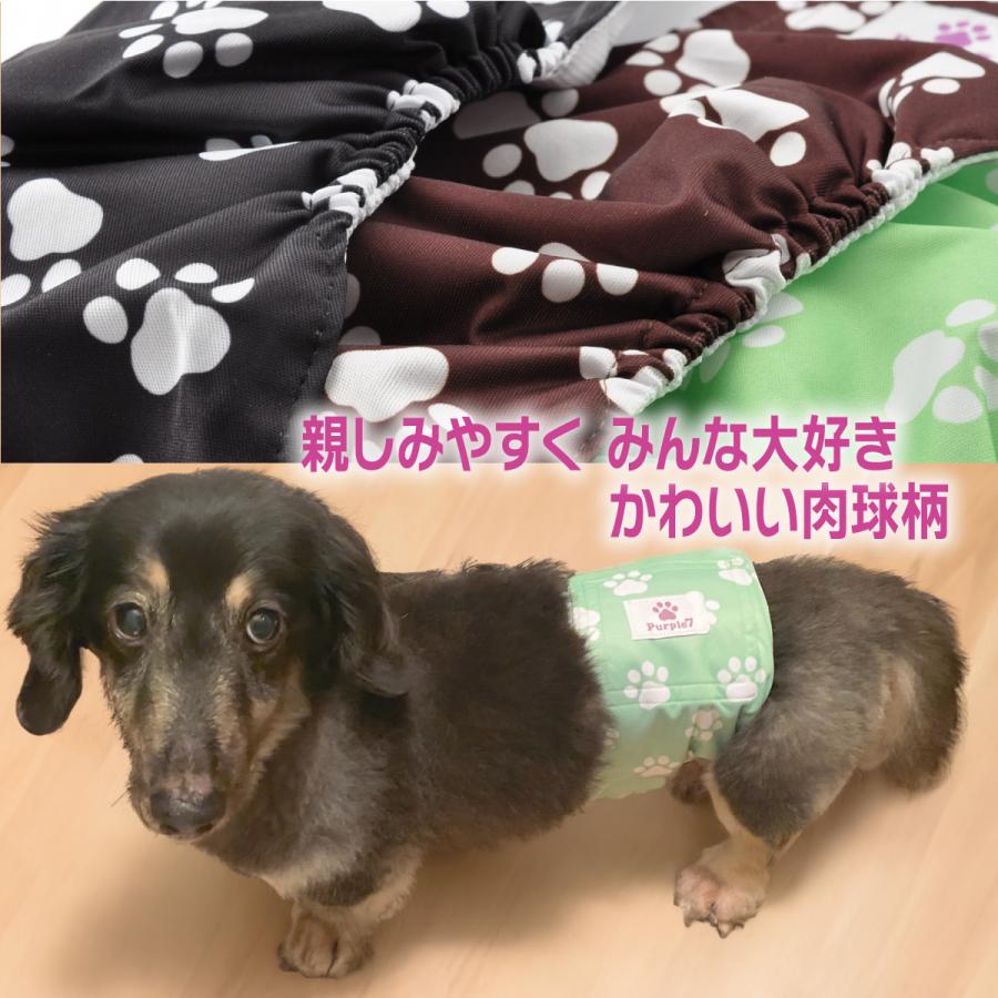 マナーベルト サイズXL 犬 オス メッシュ裏地 吸収層付き マナーバンド