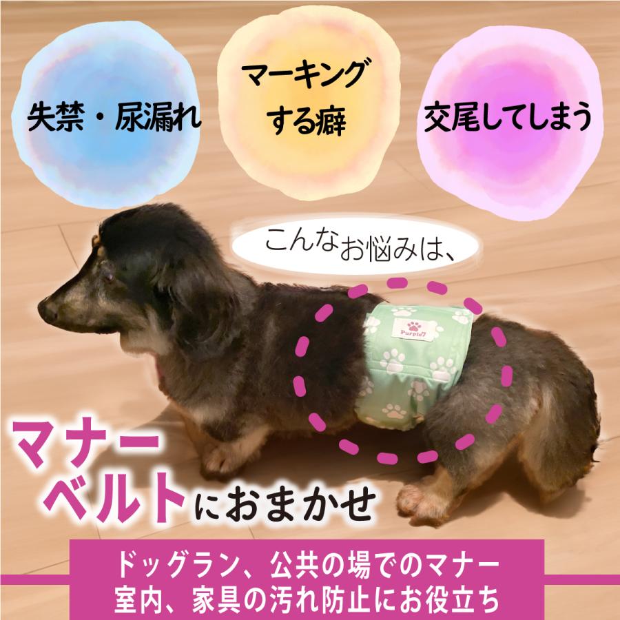 マナーウェアはXL 7個セット マナーベルト サイズXL 犬 オス メッシュ裏地 吸収層付き マナーバンド