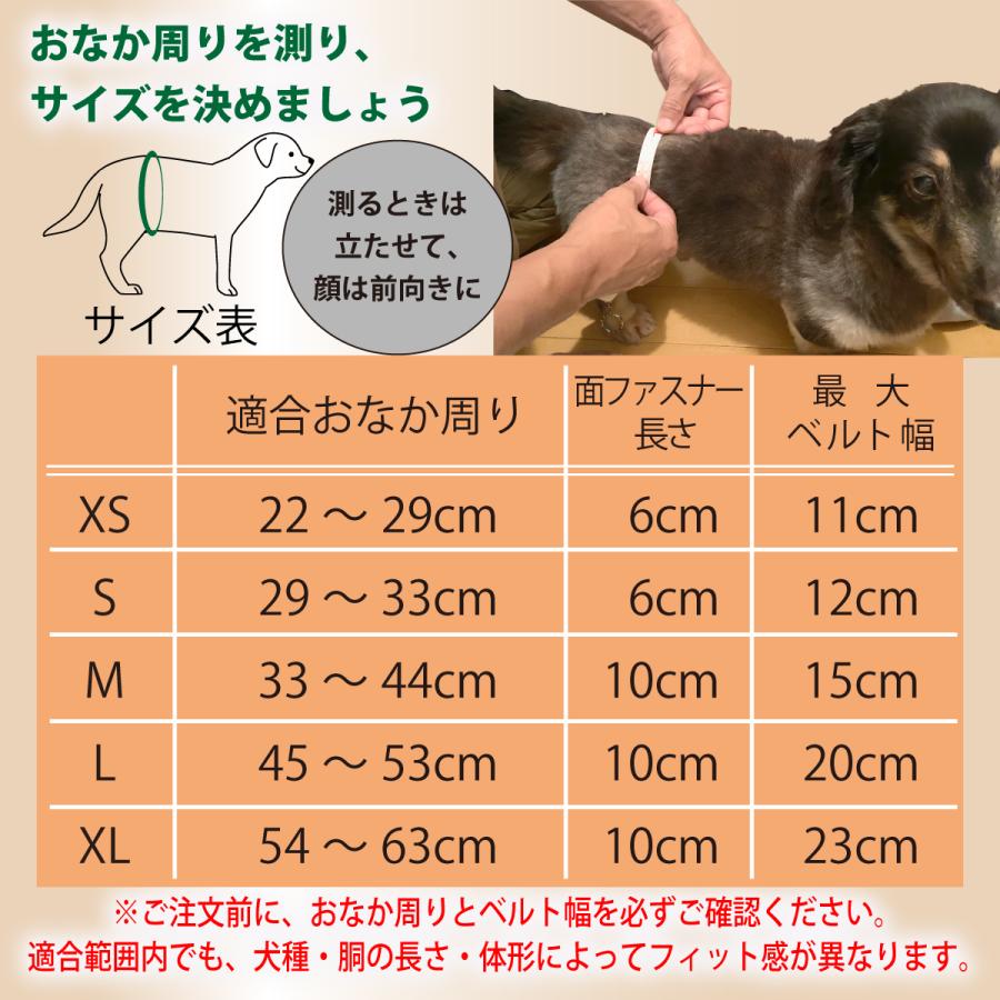 マナーベルト サイズXL 犬 オス メッシュ裏地 吸収層付き マナーバンド