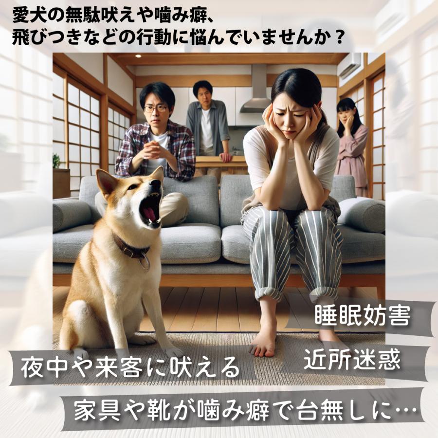 無駄吠え防止首輪 リモコン操作 犬 しつけ バーク対策首輪 3モード対応