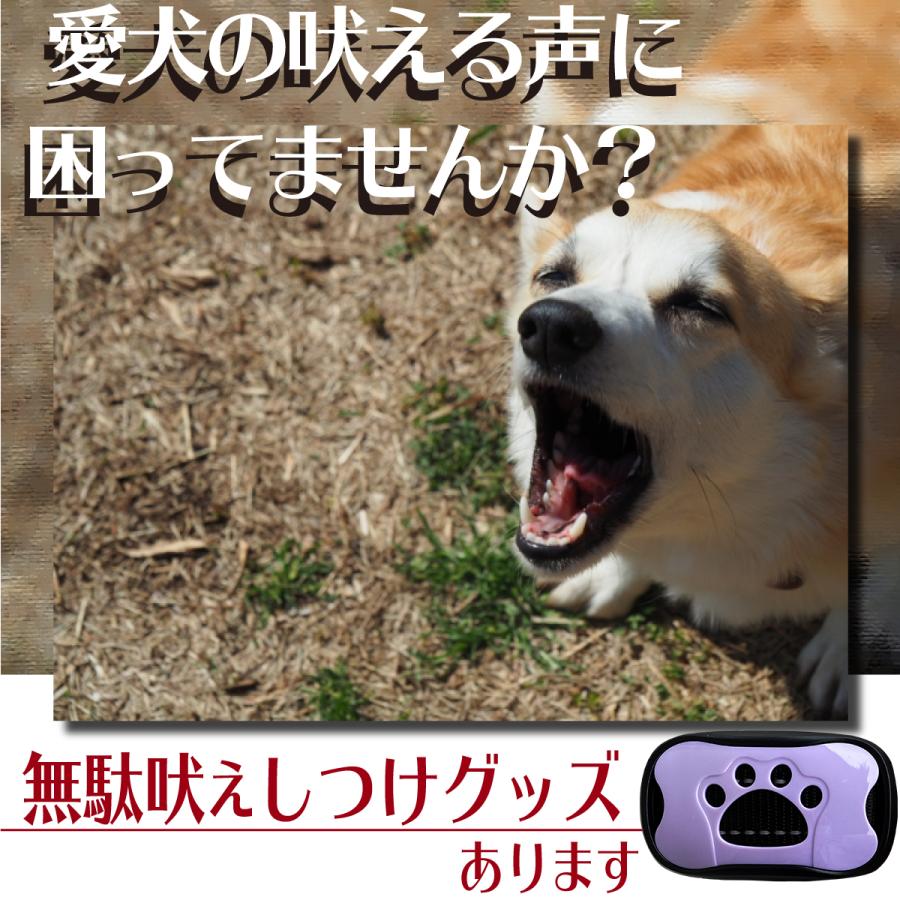 無駄吠え防止グッズ バークコントローラー 犬 しつけ 首輪 充電式 振動 ビープ音 7段階 小型犬 中型犬 大型犬 躾 犬鳴き声対策 自動訓練｜d-n｜03