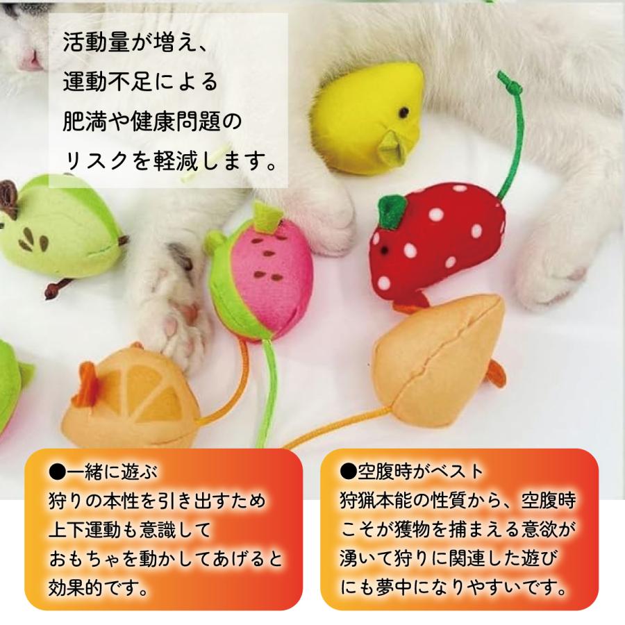 猫 おもちゃ ねずみ 歯磨き 10点 キャットトイ 猫用玩具 デンタルトイ