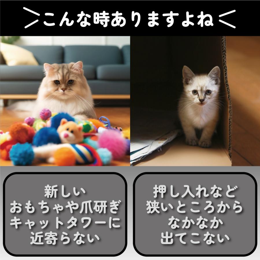 またたび 粉末 猫 マタタビ 木天蓼 粉 ふりかけ 10g 国産 天然100％ 無