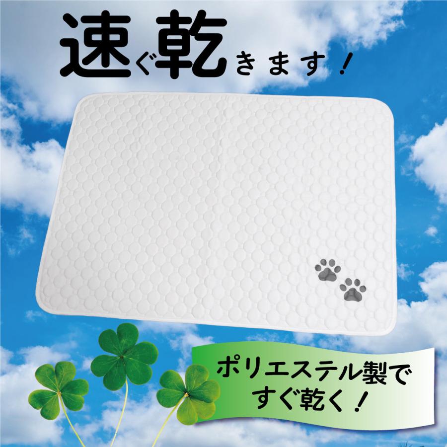 洗える ペットシーツ L 100×70cm 2枚セット 犬 猫 大判 ペットマット