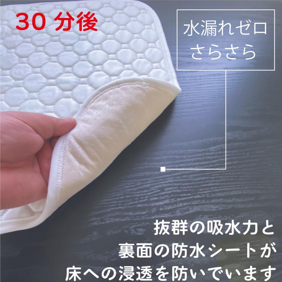 ペットシーツ 洗える 2枚セット ペットマット おしっこマット 猫 ペットシーツ 洗える 2枚セット ペットマット おしっこマット 猫