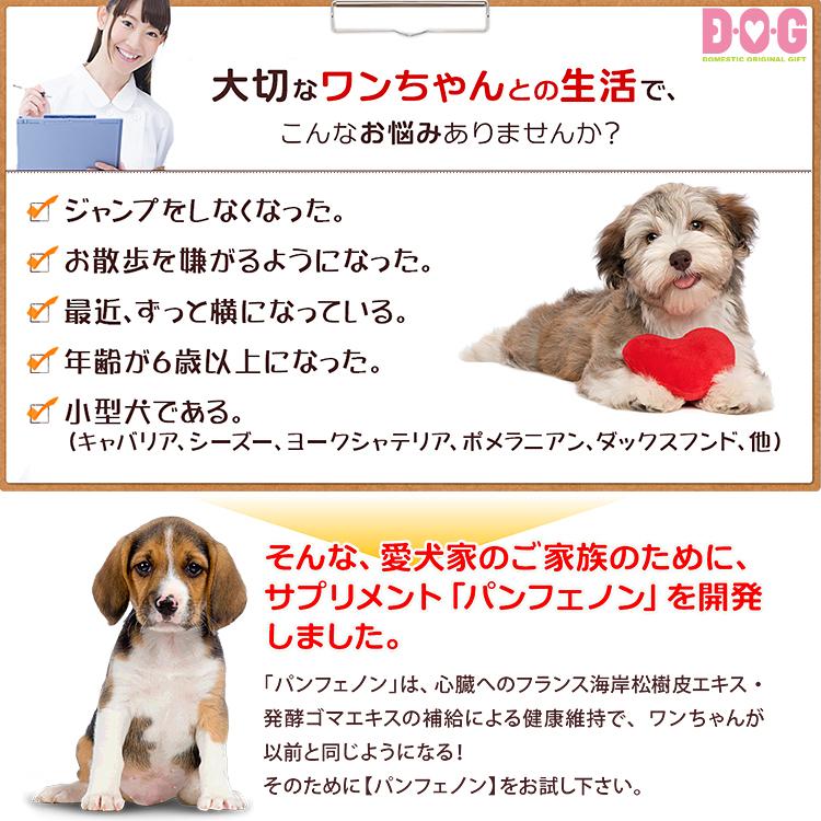 パンフェノン】120粒 （約60日分） ペット サプリメント 日本製 国内