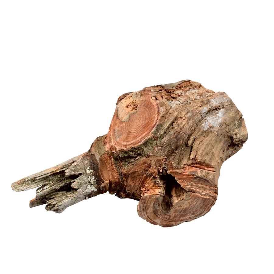 現品限り】皮付きファットウッド（760g）どれだけ松ヤニが詰まって