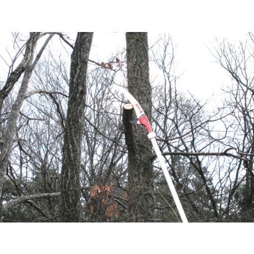 ニシガキ 枝打ち一発 6.5m N763 mm