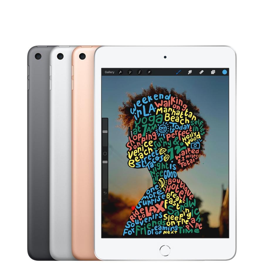 新古品 iPad mini（第5世代） Wi-Fi+Cellular 本体 SIMフリー 64GB 7.9インチ Neural Engine スタイラスペン特典｜d-plaza-kjc｜02
