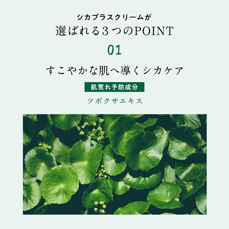 シカクリーム 日本製 送料無 セール 選べる 50g 100g 送料無料 パック 下地 効果 cica 日本 シカクリームとは シカ化粧品 シカケア シカパック シカ クリーム :cica-plus-cream:D-PLEX - 通販 - Yahoo!ショッピング シカクリーム 日本製 送料無 セール 選べる 50g 100g 送料無料 パック 下地 効果 cica 日本 シカクリームとは シカ化粧品 シカケア シカパック シカ クリーム :cica-plus-cream:D-PLEX - 通販 - Yahoo!ショッピング