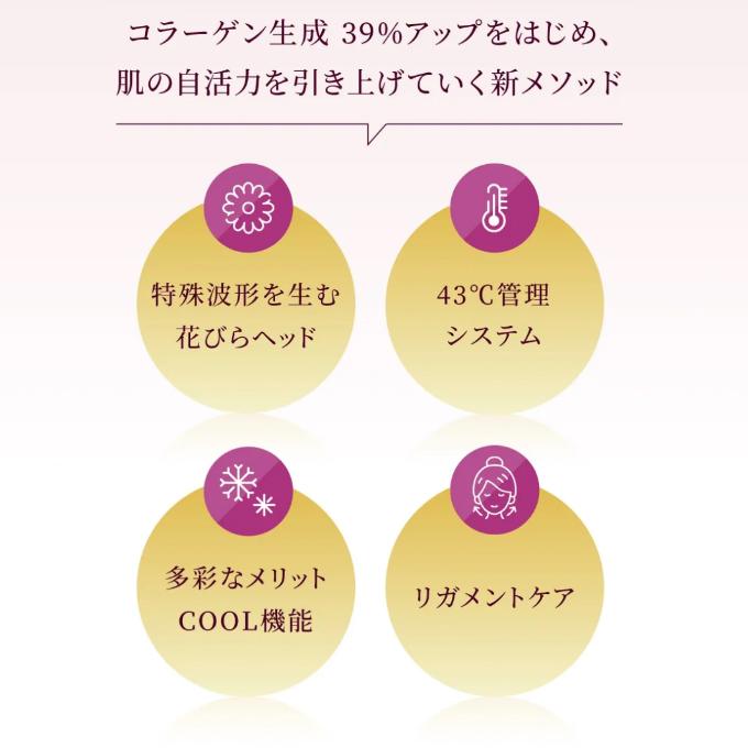 お取り寄せ ハンブラザーズ ヴィオーラ VI-OLA 美容器具 SAINTMIRACLEの画像